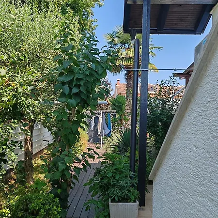 Apartament Cocolo *