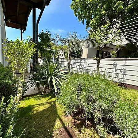Cocolo Apartment