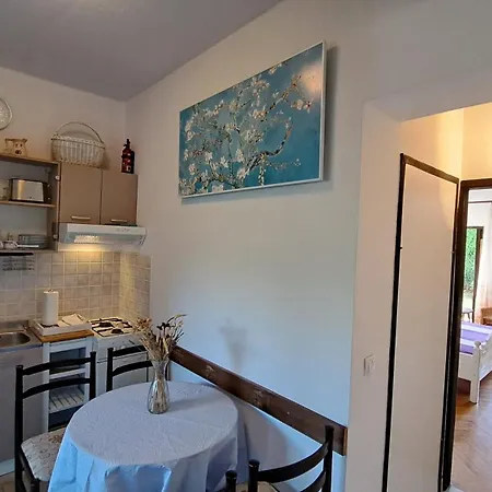 Apartment Cocolo