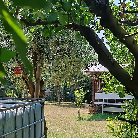 Apartment Cocolo Porec