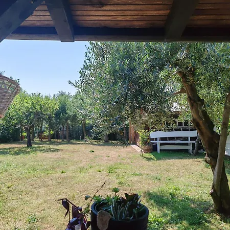 Apartment Cocolo