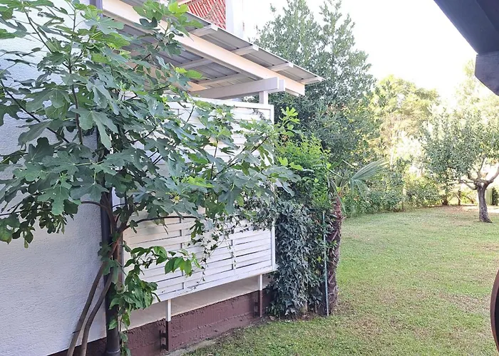 Cocolo 아파트 포레치